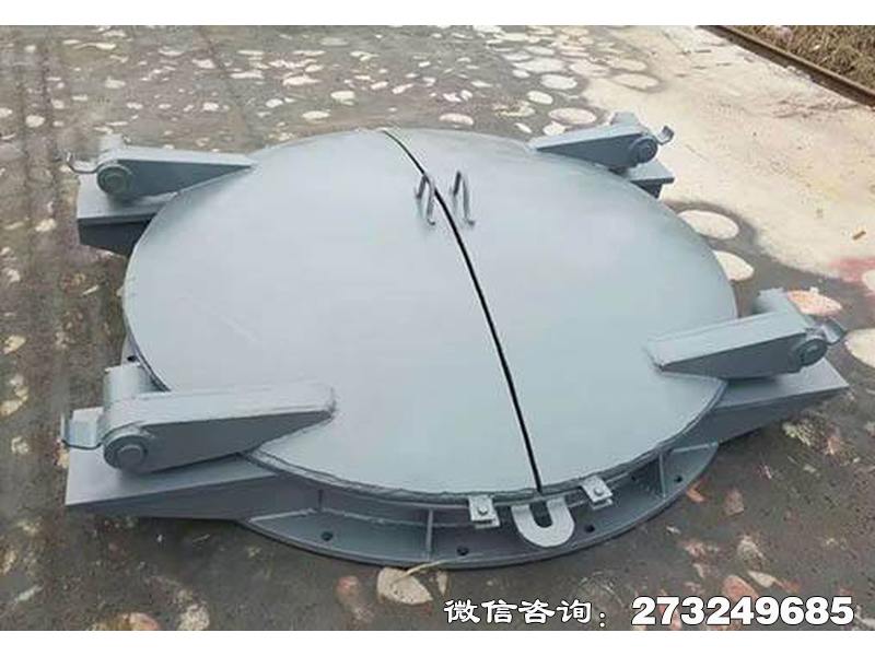 田林县双开圆形钢制开门