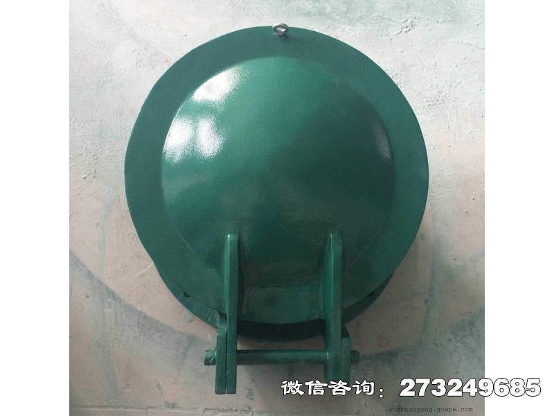 丰润玻璃钢圆形拍门